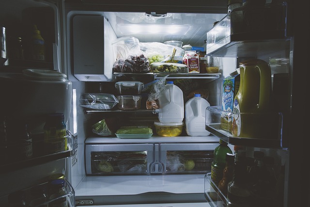Sådan undgår du madspild med dit køleskab