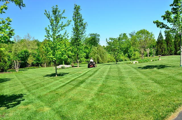 Guide til græsslåning: Hvornår og hvordan skal du slå græsset?