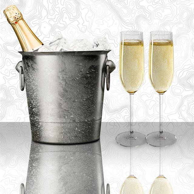 5 tips til at vælge den rigtige champagnekøler til enhver begivenhed